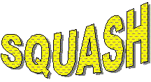 SQUASH logo